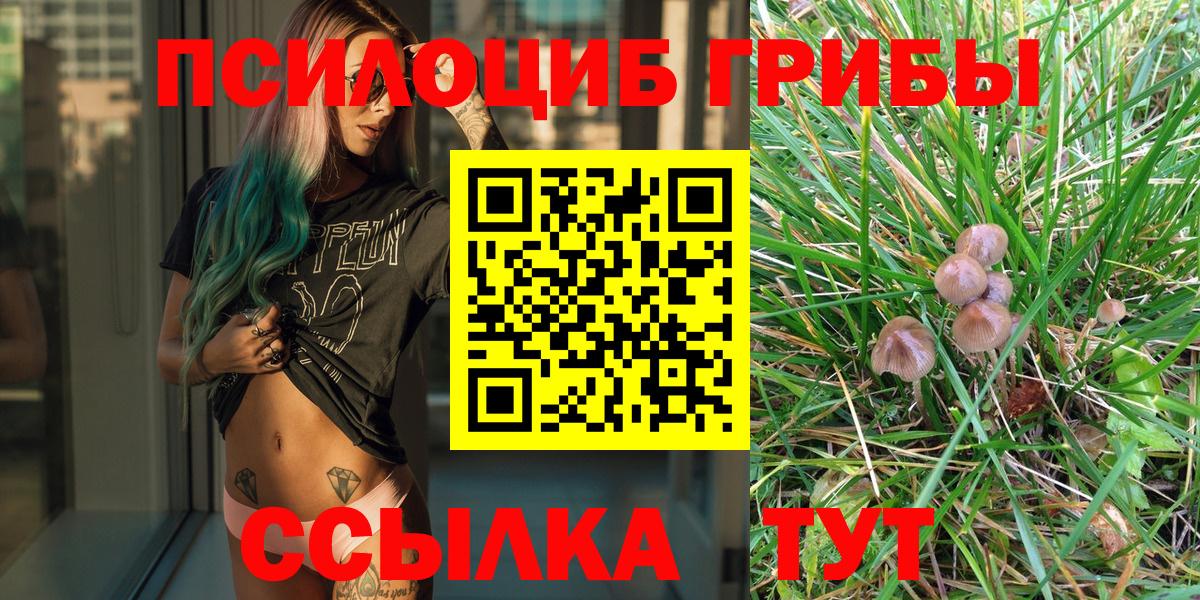 Галлюциногенные грибы Magic Shrooms Трёхгорный
